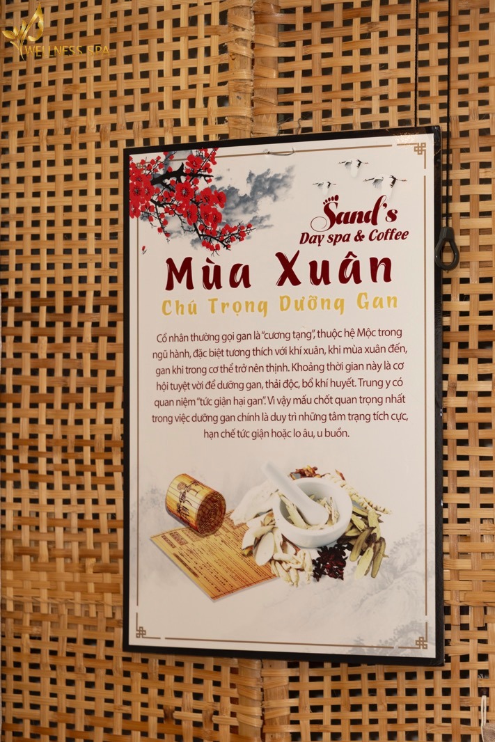 Chi tiết trang trí thảo mộc tại Wellness Spa